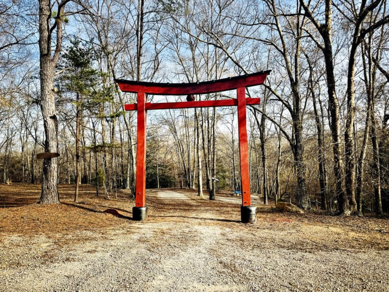A vibrant red Japanese torii gate standing at the entrance of a gravel path leading into a forest of bare trees.